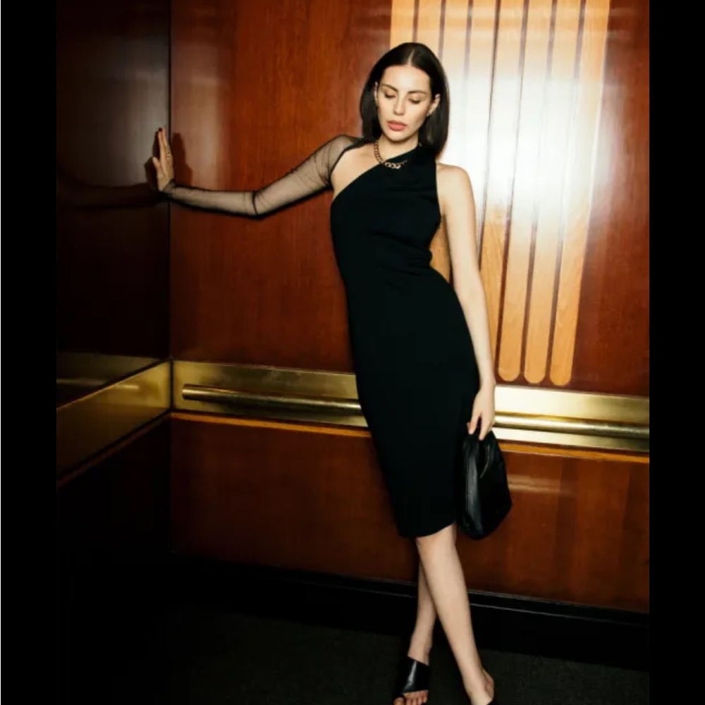 Manhattan Mesh Sleeve Midi Dress